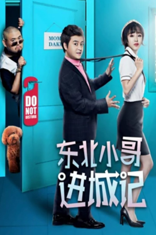Póster de 东北小哥进城记