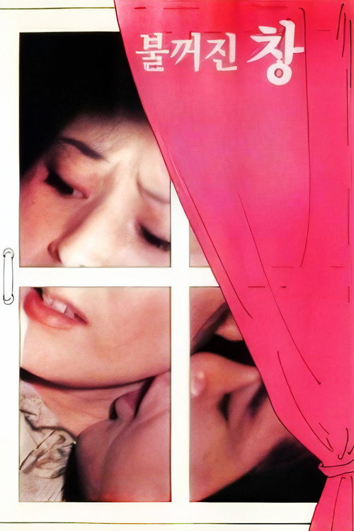 Póster de 불꺼진 창