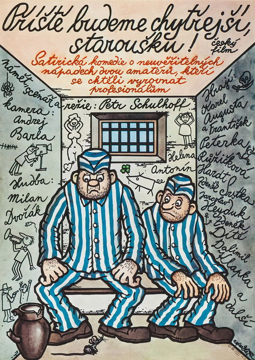 Póster de Příště budeme chytřejší, staroušku!