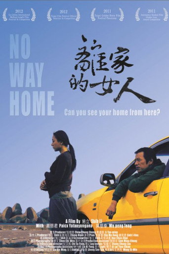 Póster de 離家的女人