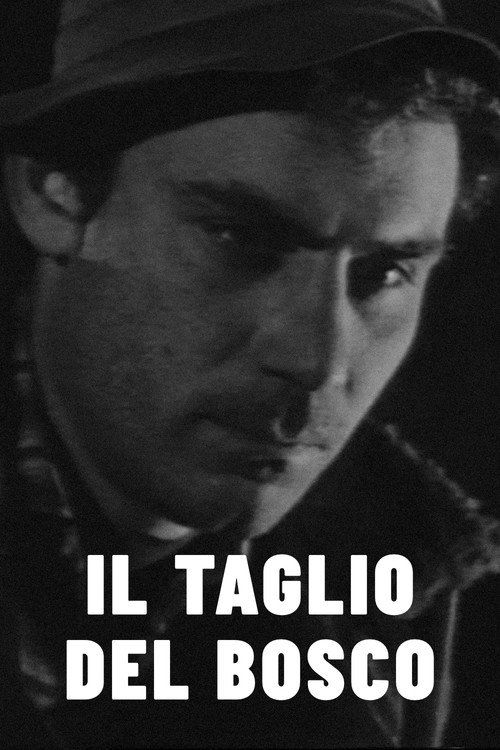 Póster de Il taglio del bosco