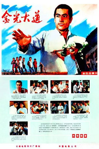 Póster de 金光大道（上集）