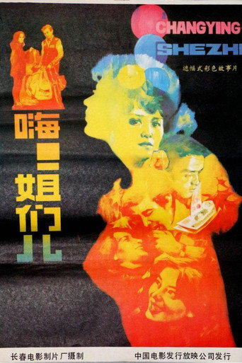 Póster de 嗨！姐们儿