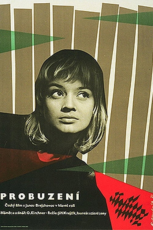 Póster de Probuzení