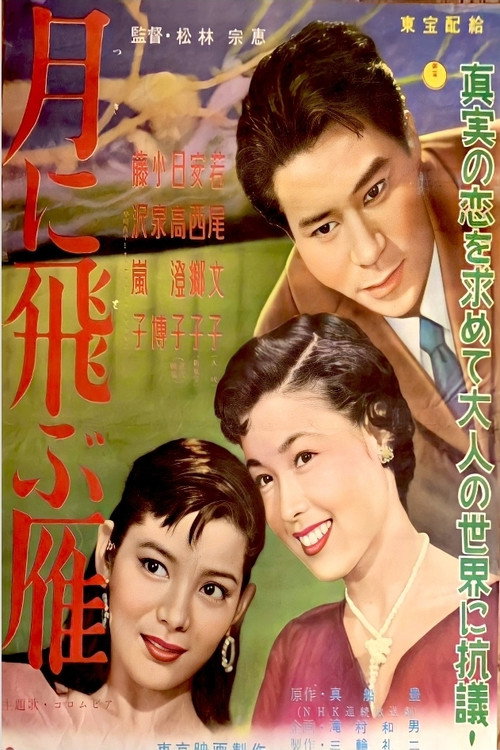 Póster de 月に飛ぶ雁