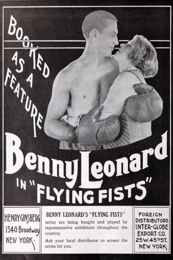 Póster de Flying Fists