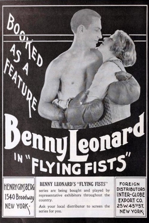 Póster de Flying Fists