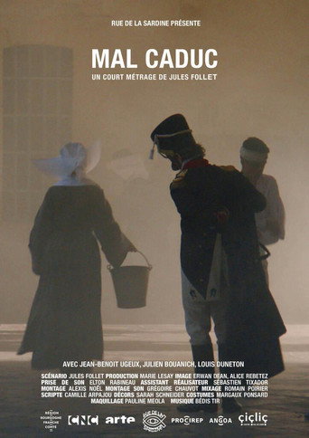 Póster de Mal caduc