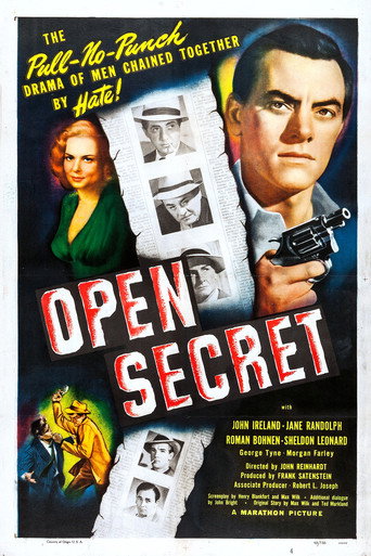 Póster de Open Secret