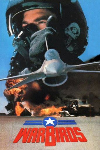 Póster de Warbirds