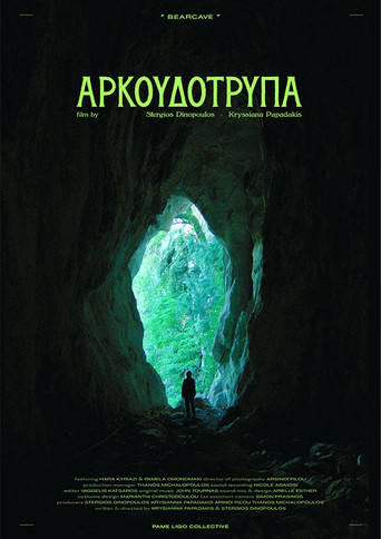 Póster de Bearcave