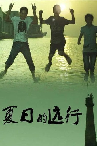 Póster de 夏日的远行