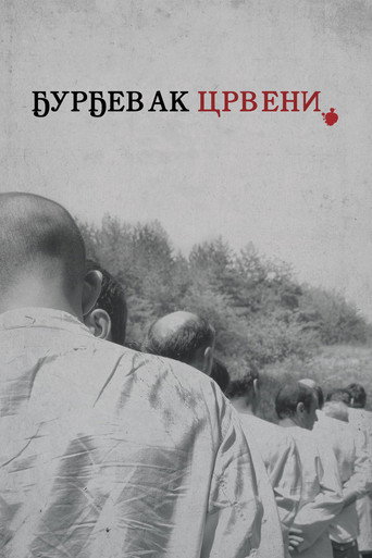 Póster de Ђурђевак црвени