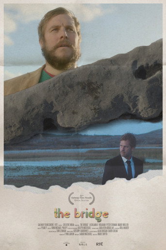 Póster de The Bridge