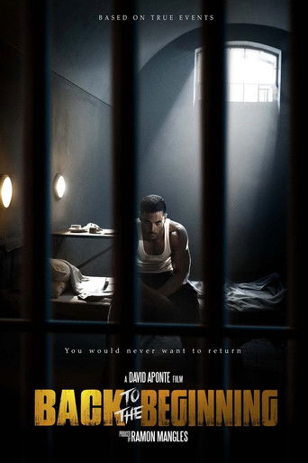 Póster de Back to the Beginning