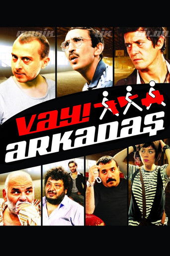 Póster de Vay Arkadaş