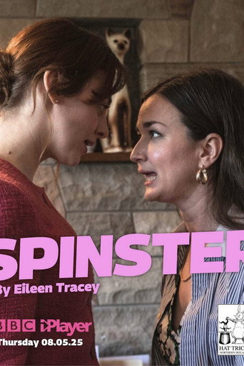 Póster de Spinster