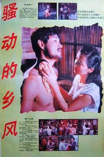 Póster de 骚动的乡风