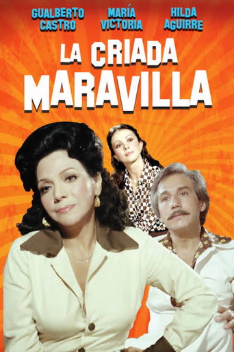 Póster de La criada maravilla