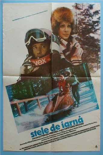 Póster de Stele de iarnă