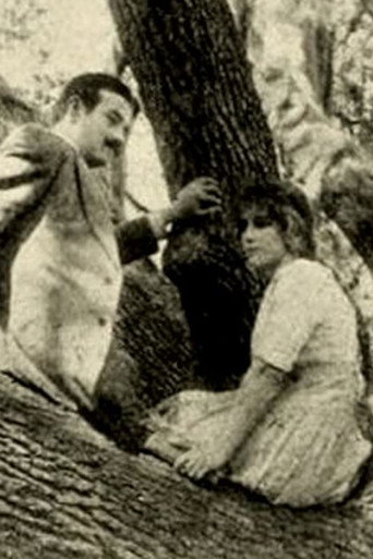 Póster de The Girl of the Grove