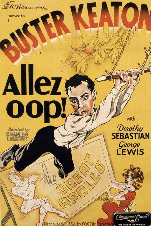 Póster de Allez Oop