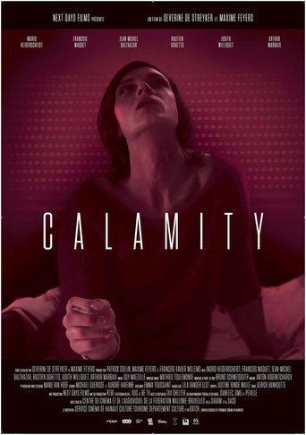 Póster de Calamity