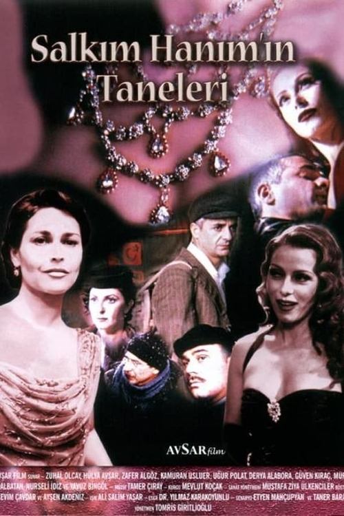 Póster de Salkım Hanım'ın Taneleri