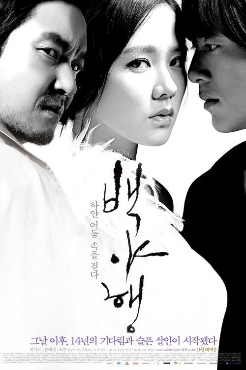 Póster de 백야행: 하얀 어둠 속을 걷다