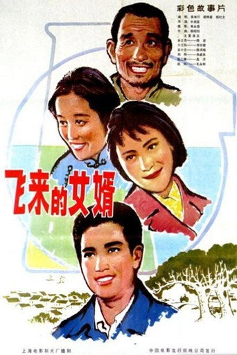 Póster de 飞来的女婿