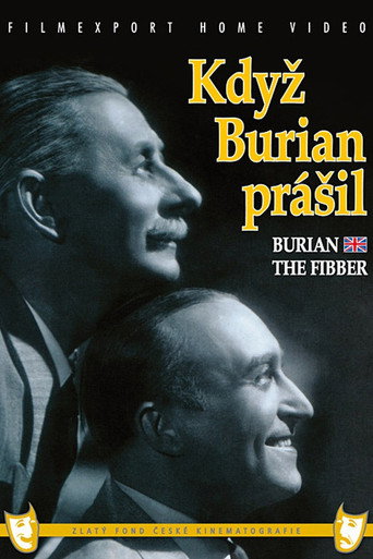 Póster de Baron Prášil