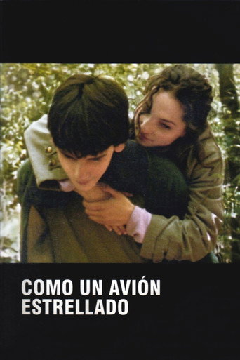 Póster de Como un avión estrellado