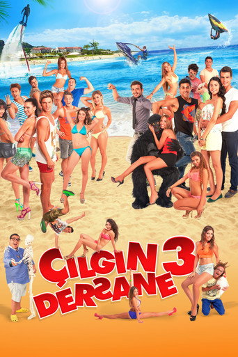 Póster de Çılgın Dersane 3