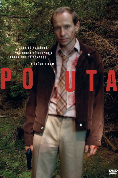 Póster de Pouta
