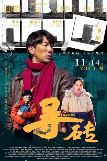 Póster de 寻砖