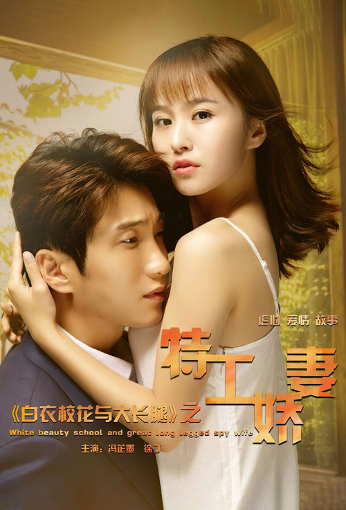 Póster de 白衣校花与大长腿之特工娇妻