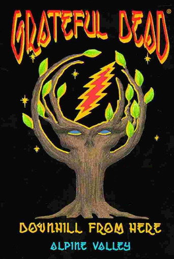 Póster de Grateful Dead: Downhill from Here