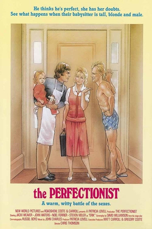 Póster de The Perfectionist