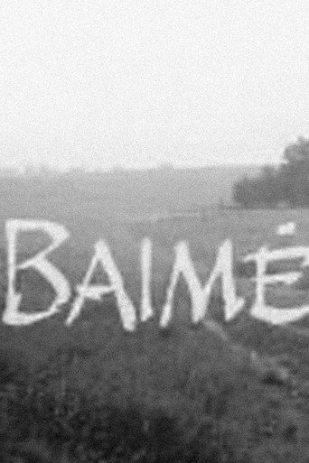 Póster de Baimė