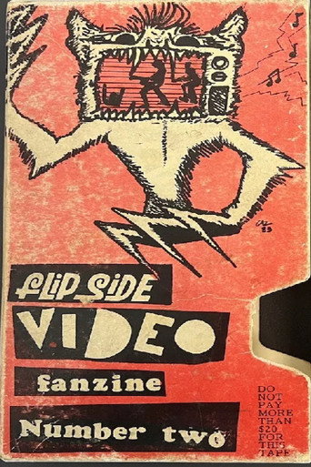 Póster de Flipside Video Fanzine Number Two
