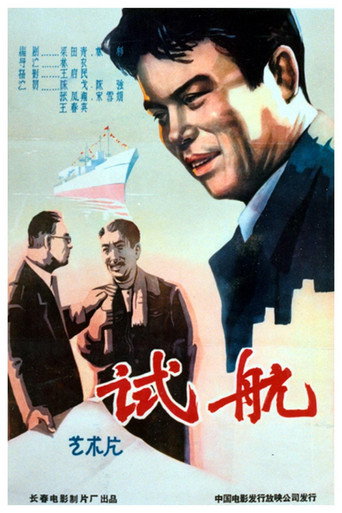 Póster de 试航