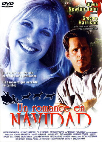 Póster de A Christmas romance