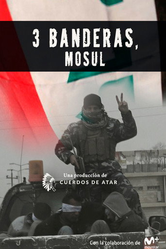 Póster de La bataille de Mossoul