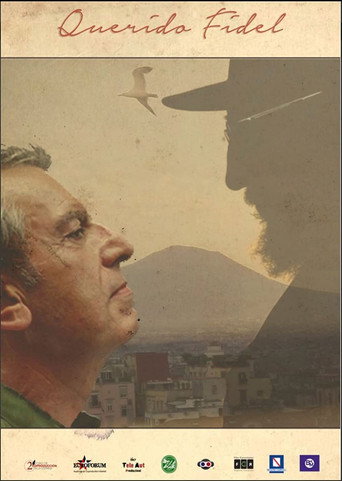 Póster de Querido Fidel