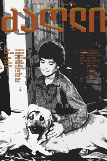Póster de The Dog