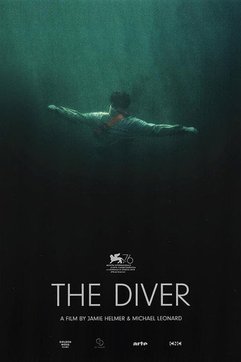 Póster de The Diver