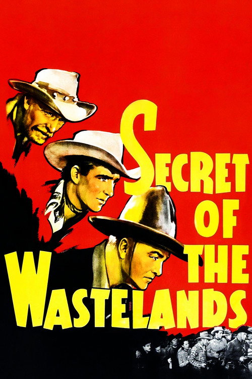 Póster de Secret of the Wastelands