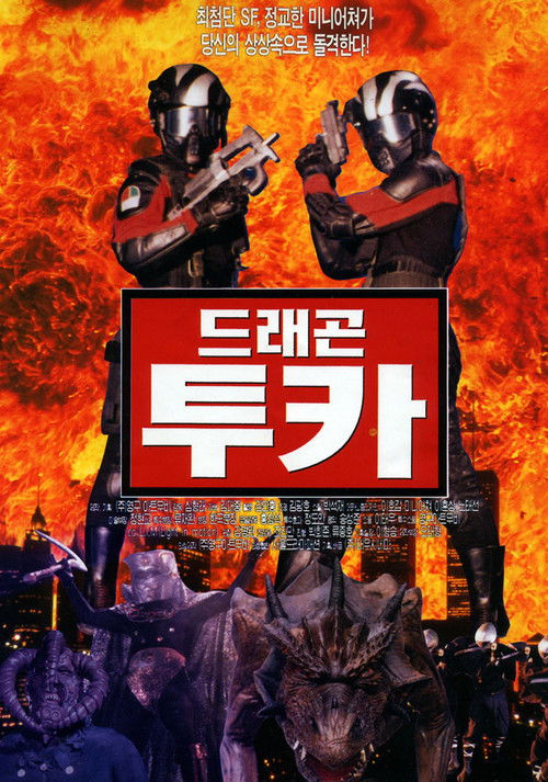 Póster de 드래곤 투카