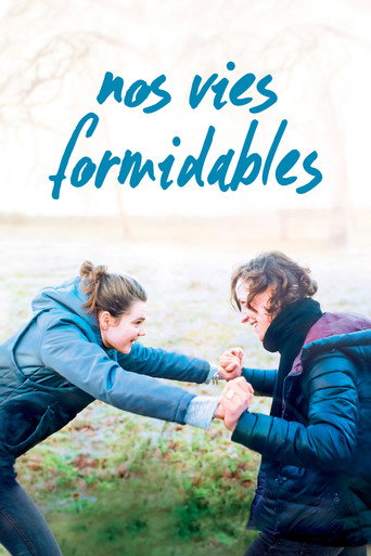 Póster de Nos vies formidables