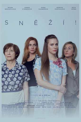 Póster de Sněží!
